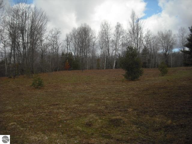 4773 Voice Road Kingsley, MI 49649 - Photo 9 of 15