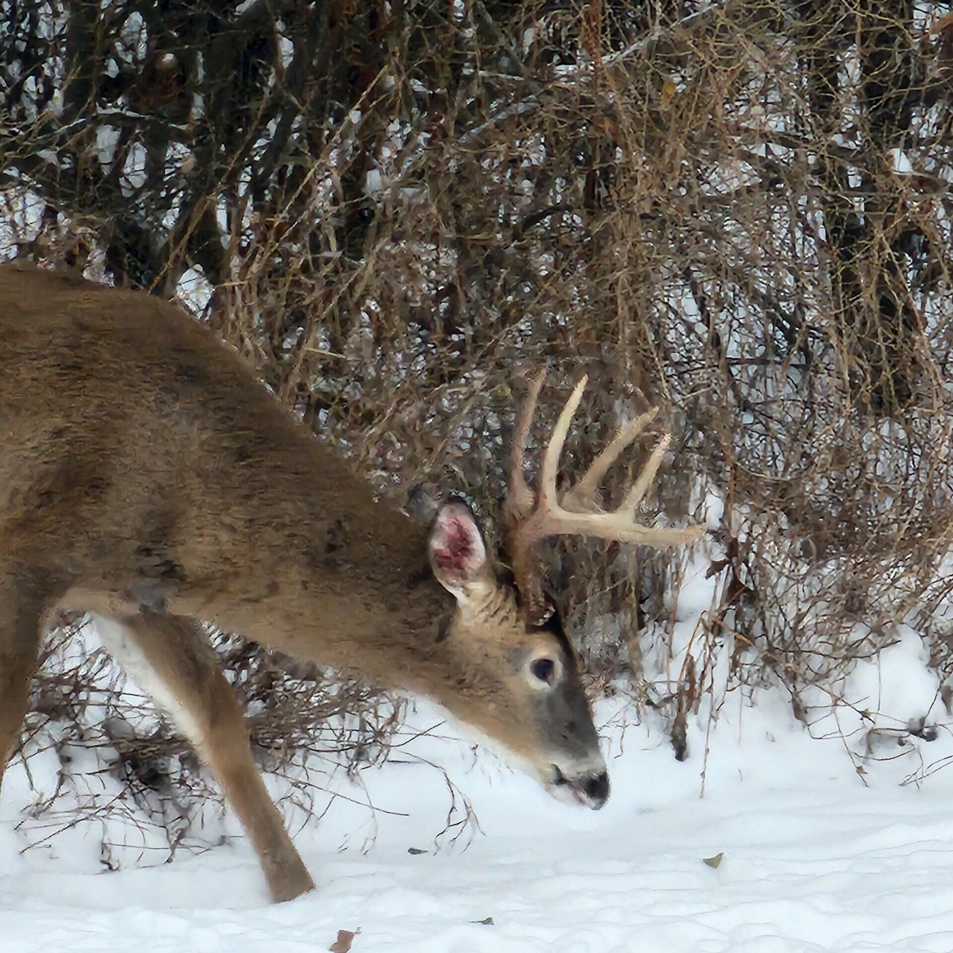 3470 Sears Road Horton, MI 49246 - Photo 30 of 32 2577