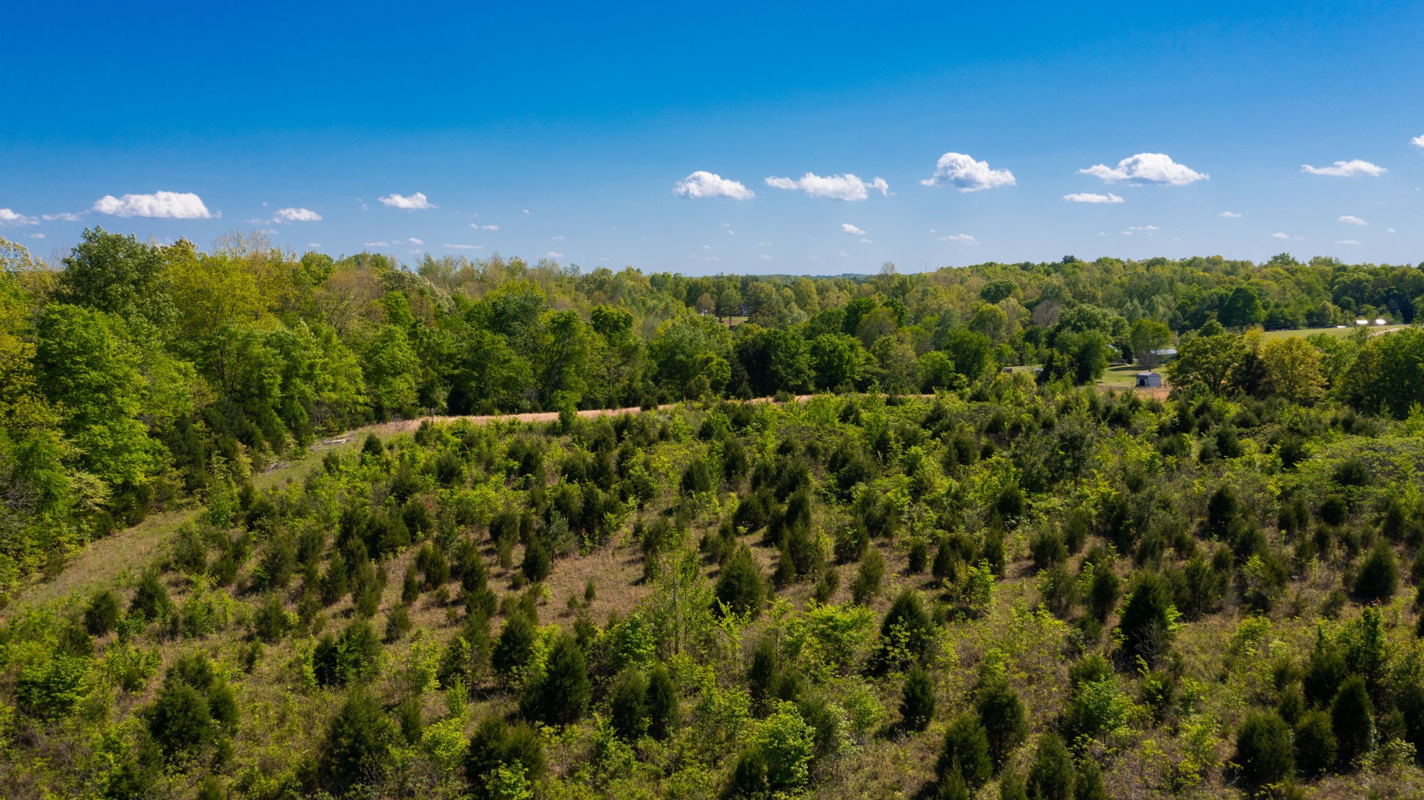 881 Coaling Road Charlotte, TN 37036 - Photo 28 of 29 a view of a city and lush green forest
