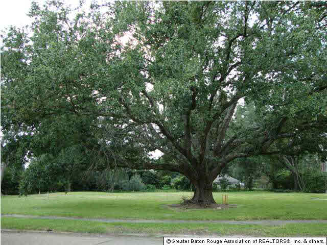2930 Gilbert Drive Baton Rouge, LA 70809 - Photo 1 of 2 Gallery Image 1