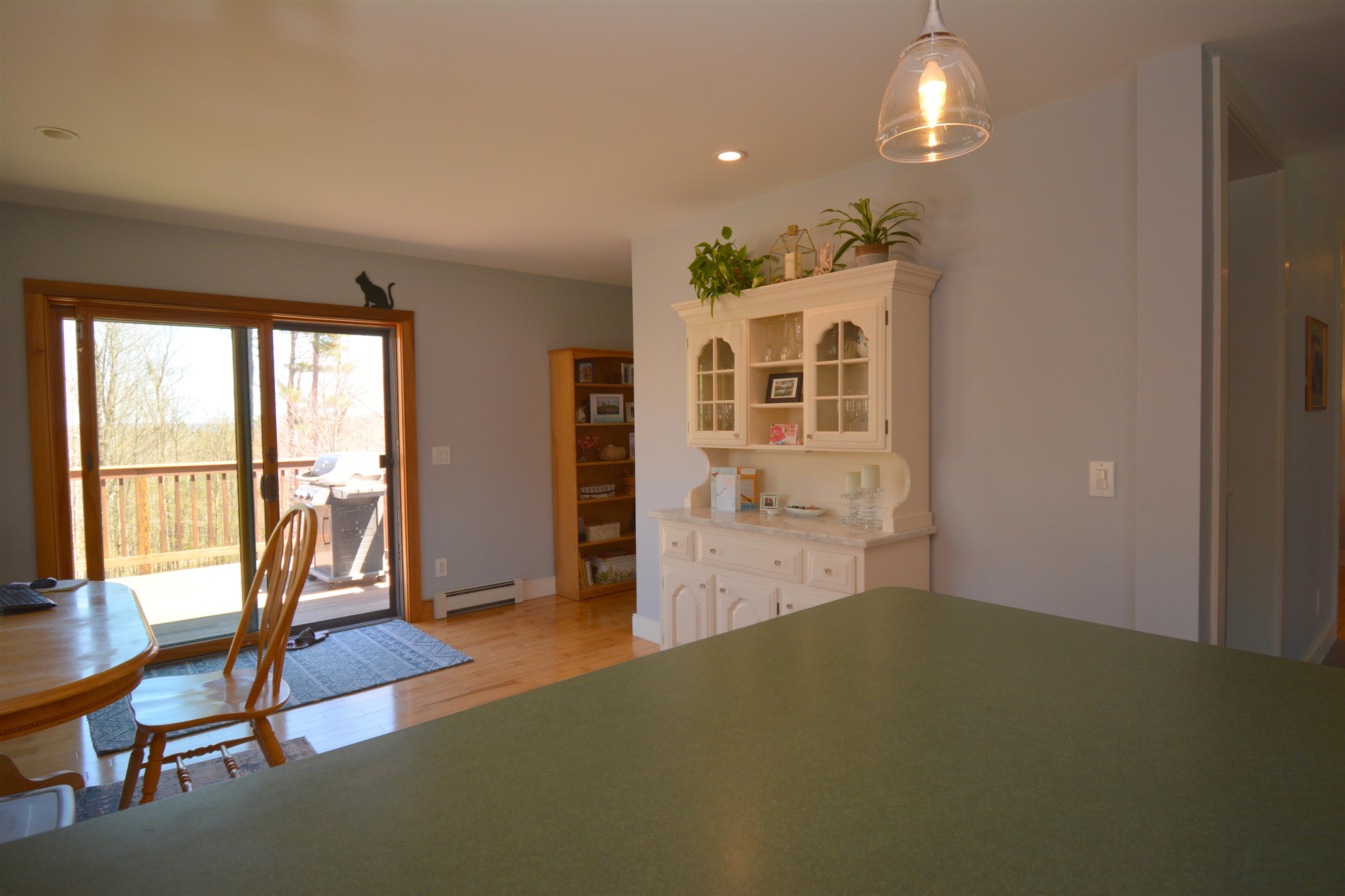 1107 Miller Pond Road Grantham, NH 03753 - Photo 7 of 34