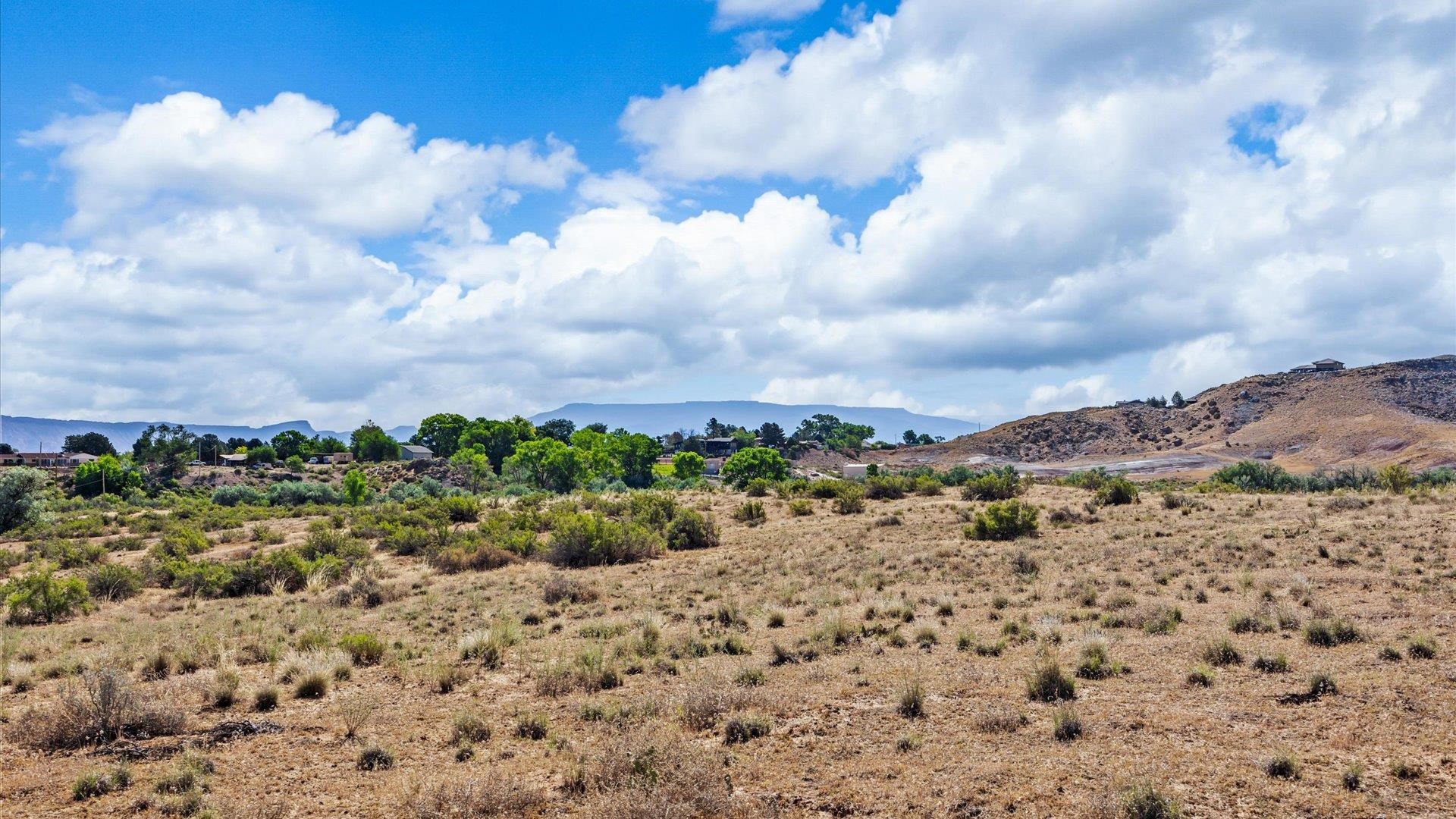 2098 East 1/2 Road Grand Junction, CO 81507 - Photo 7 of 24