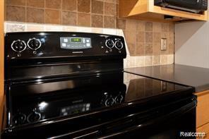 527 East University Drive, Unit 1108 Rochester, MI 48307 - Photo 4 of 15
