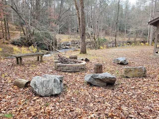a view of a yard with plants