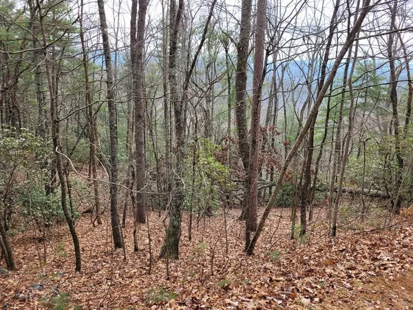 a view of a backyard of the house