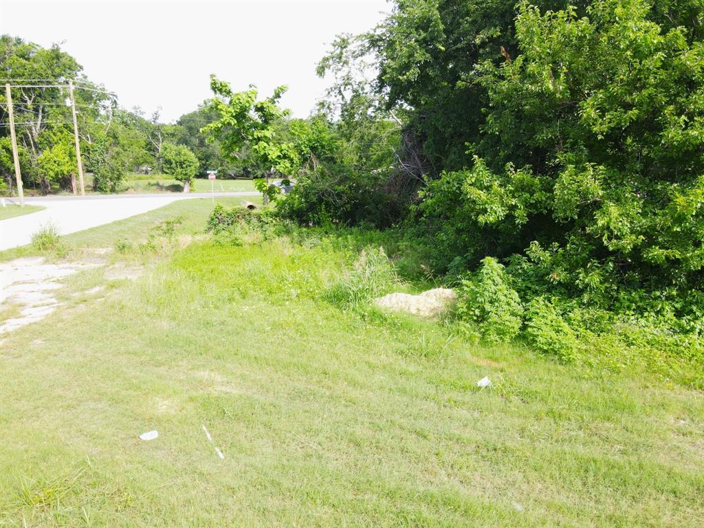1008 South Virginia Street Terrell, TX 75160 - Photo 5 of 15 a view of yard with green space