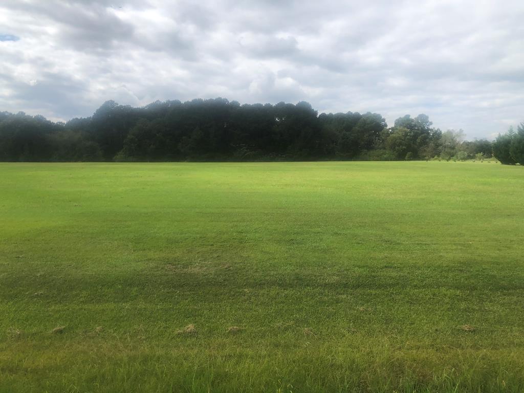 130 Community Church Road Adel, GA 31620 - Photo 1 of 3 Gallery Image 1