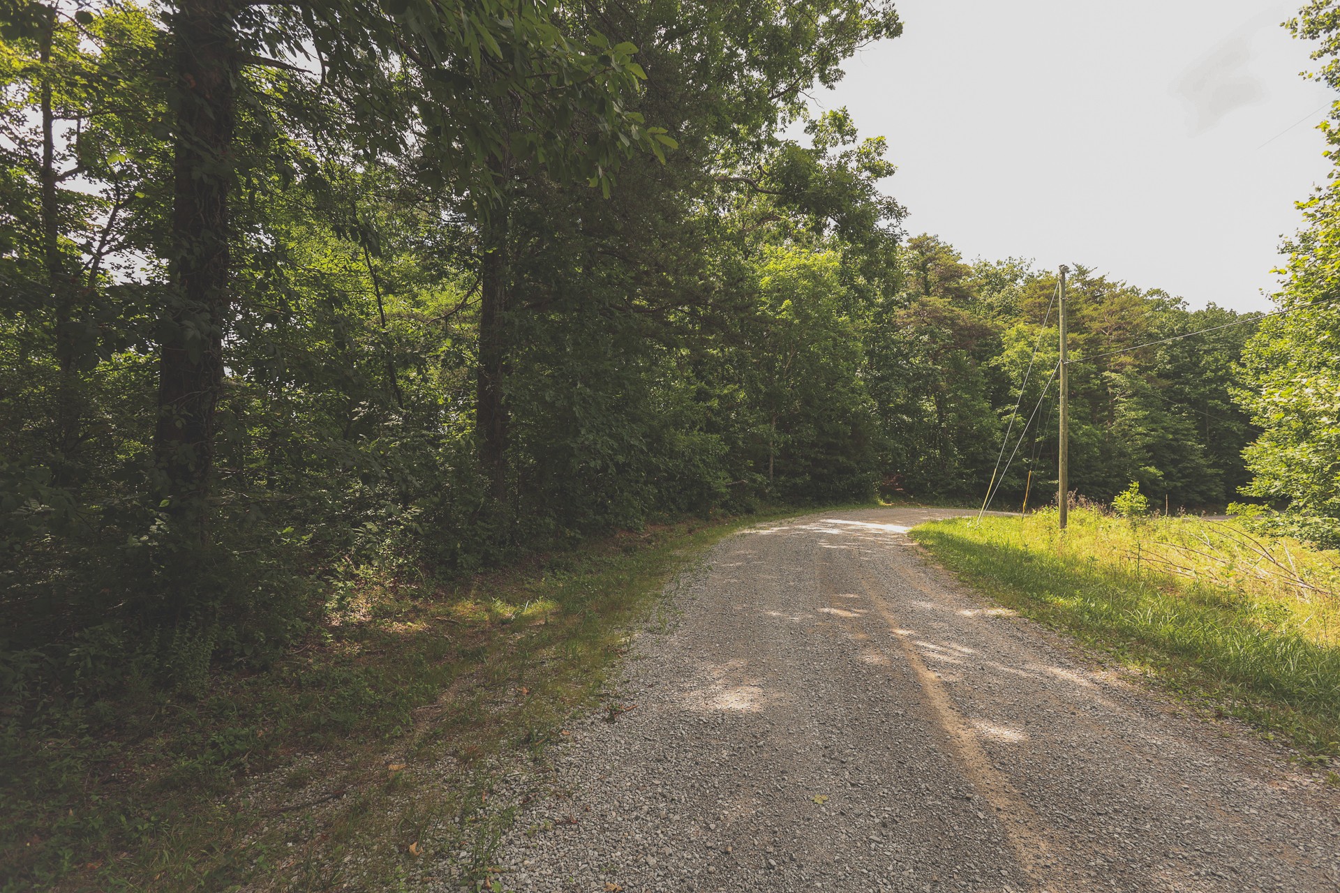 0 Long Fork Creek Road Spencer, TN 38585 - Photo 19 of 45