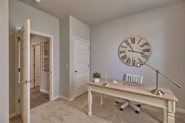 1219 Sambar Circle Grovetown, GA 30813 - Photo 28 of 53