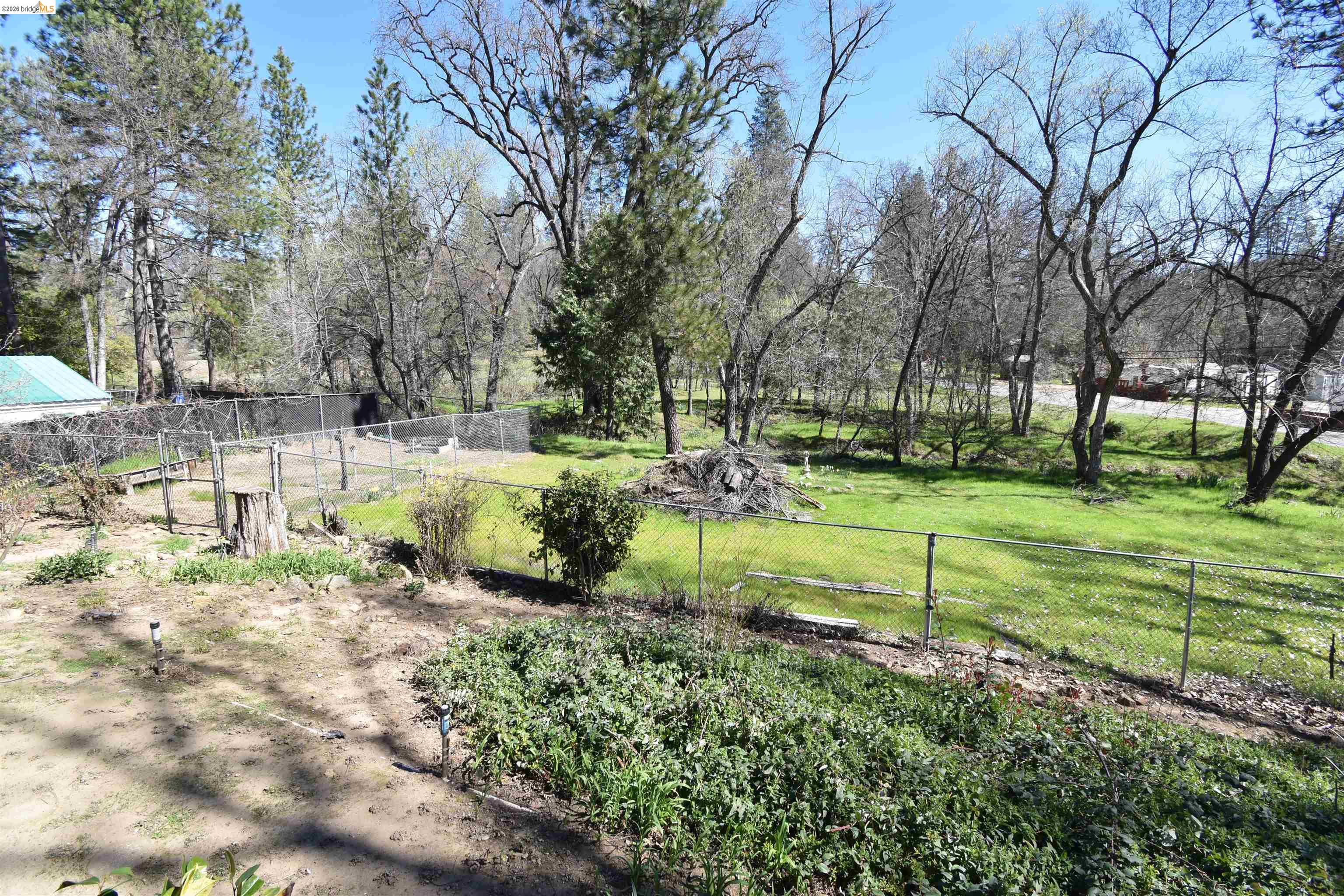 21515 Bellview Creek Road Sonora, CA 95370 - Photo 29 of 31 View of yard