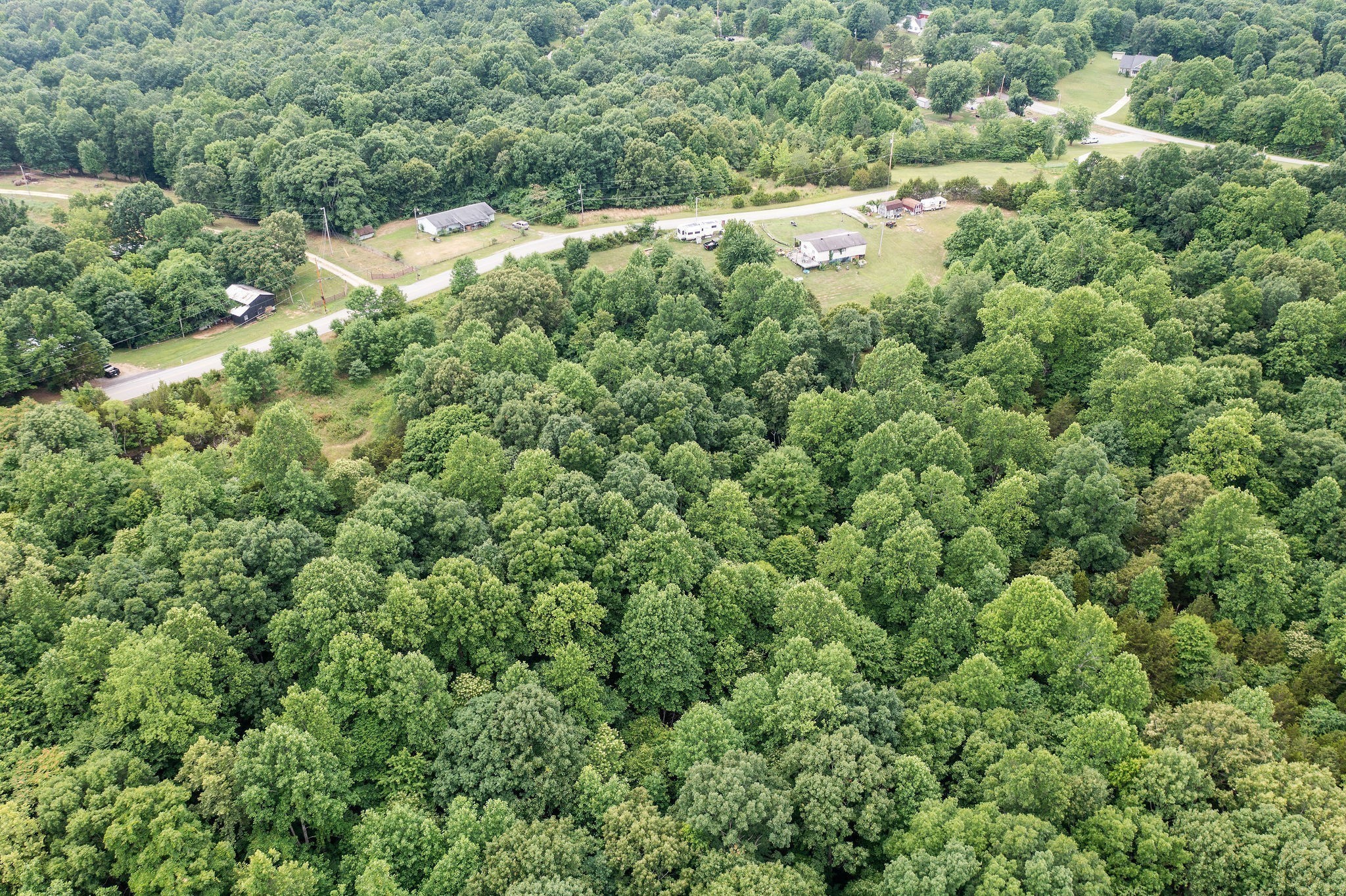 0 Jim Kim Road Palmyra, TN 37142 - Photo 3 of 6 view of a forest with a houses
