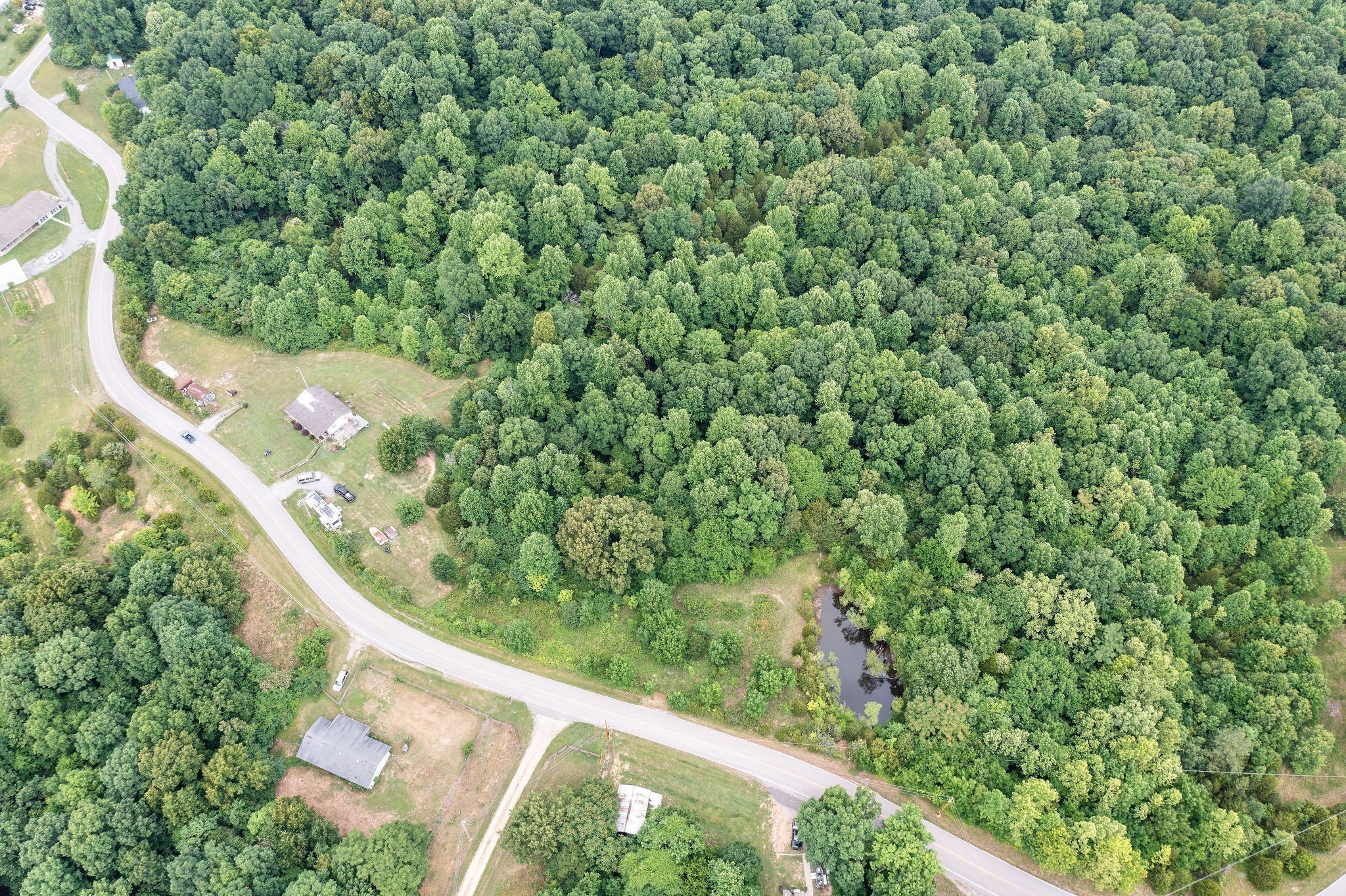 0 Jim Kim Road Palmyra, TN 37142 - Photo 4 of 6 a view of a yard with a tree