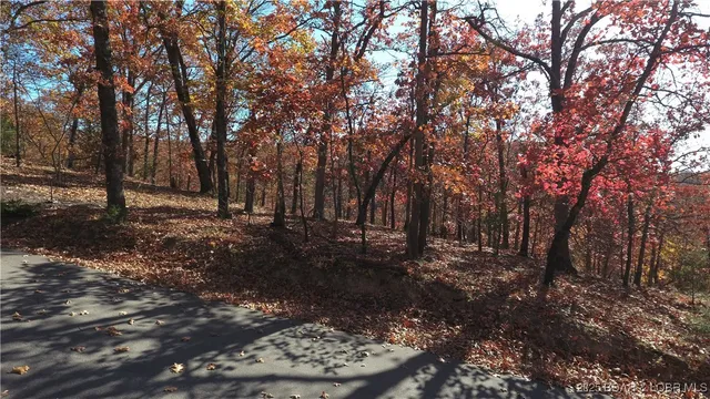 $3,750 | Lot 67 Dennison Drive, Linn Creek, MO 65052