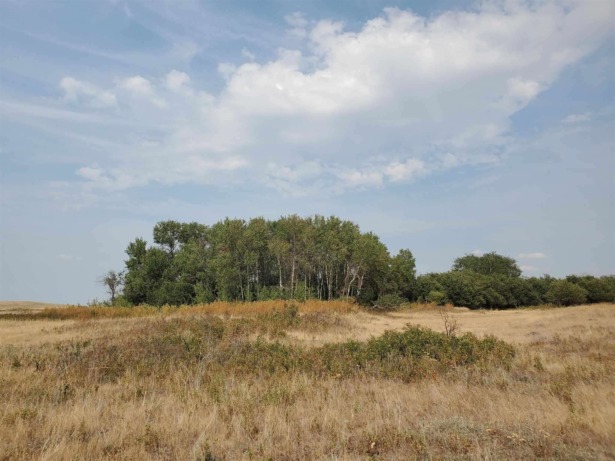 Xx East Cornwall Road Spangle, WA 99031 - Photo 2 of 17