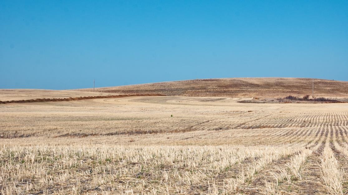 Xx East Cornwall Road Spangle, WA 99031 - Photo 14 of 17