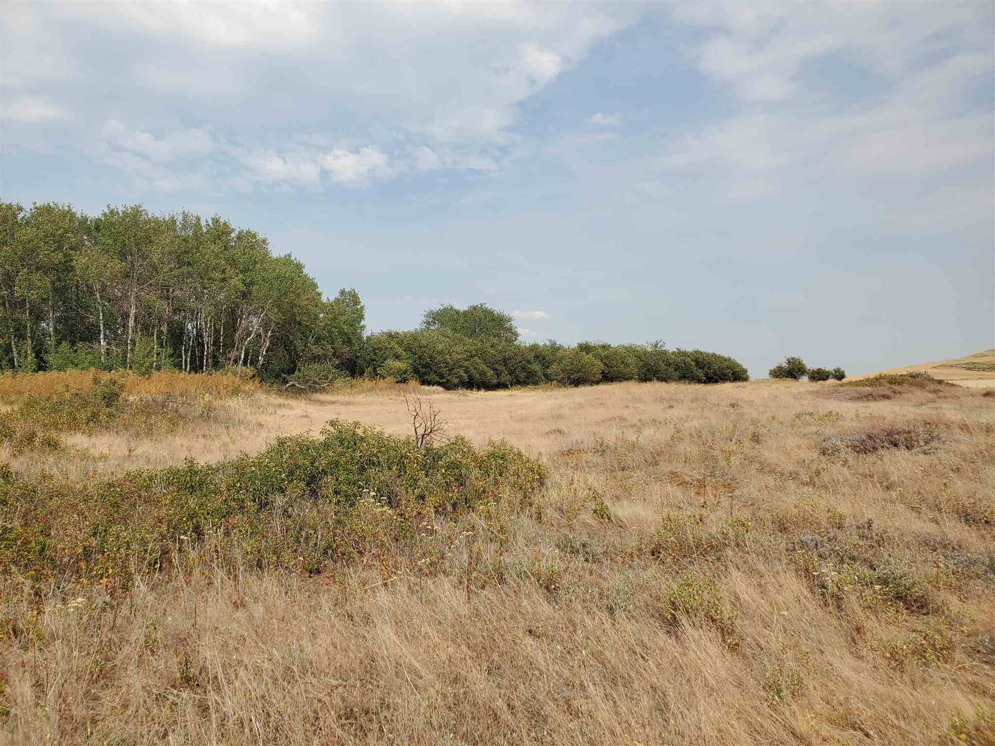 Xx East Cornwall Road Spangle, WA 99031 - Photo 5 of 17