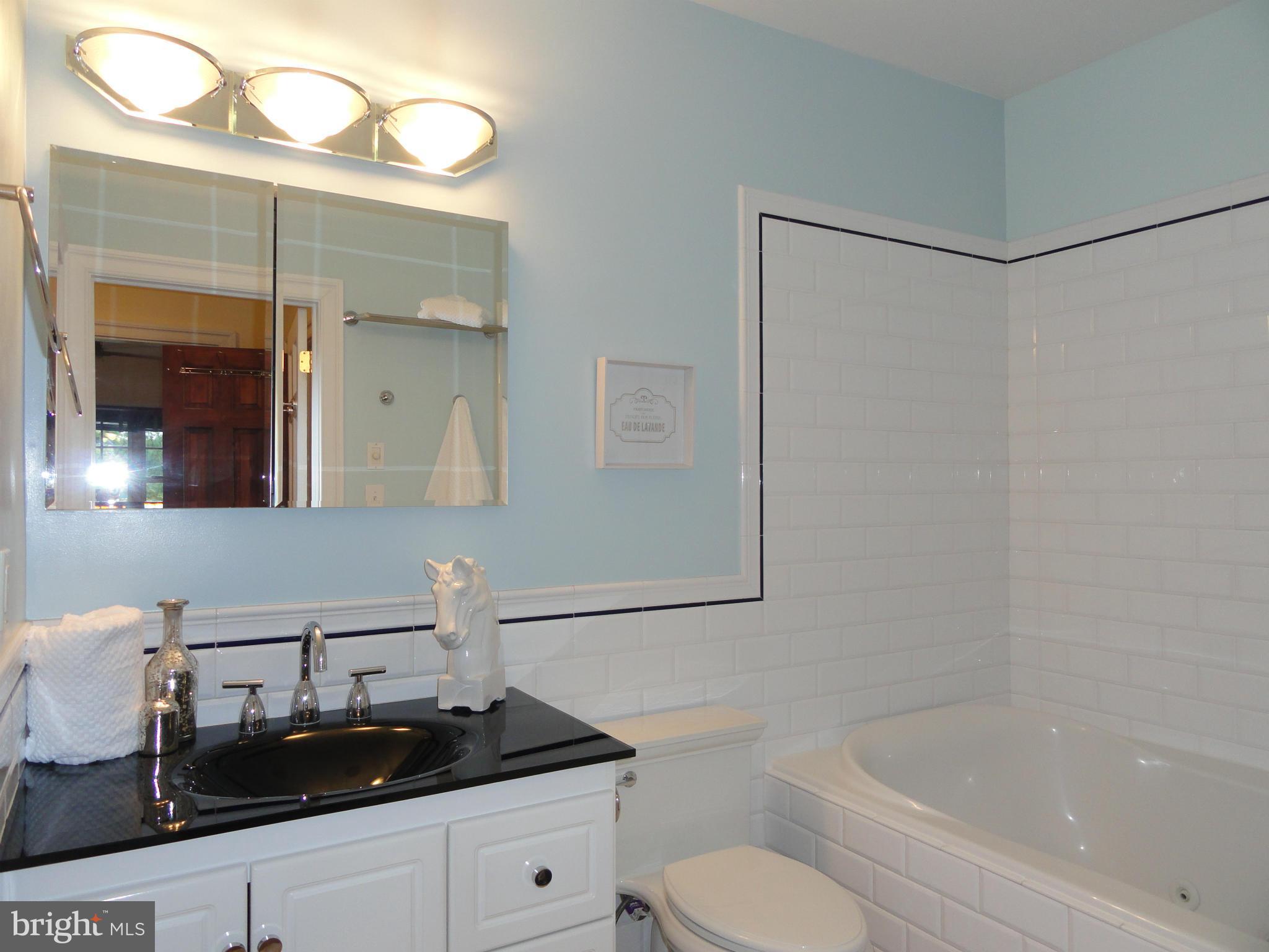 2443 Tunlaw Road Northwest Washington, DC 20007 - Photo 18 of 30 Master Bath w/custom size jet soaking tub