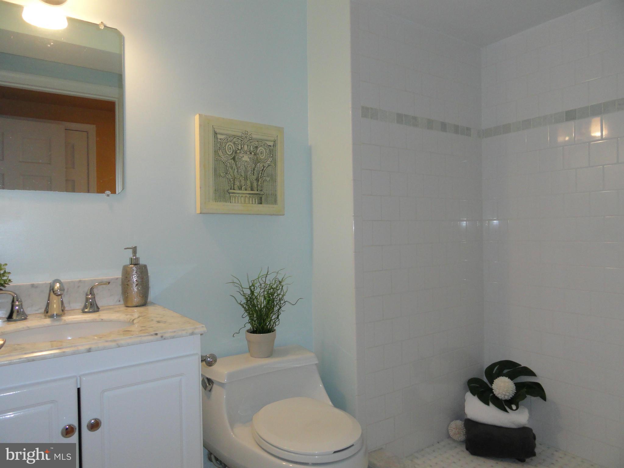 2443 Tunlaw Road Northwest Washington, DC 20007 - Photo 26 of 30 Lower Level Bath w/walk-in shower