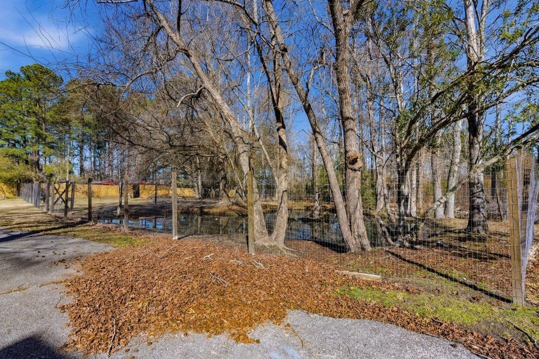 1850 Pitch Landing Road Conway, SC 29527 - Photo 14 of 54