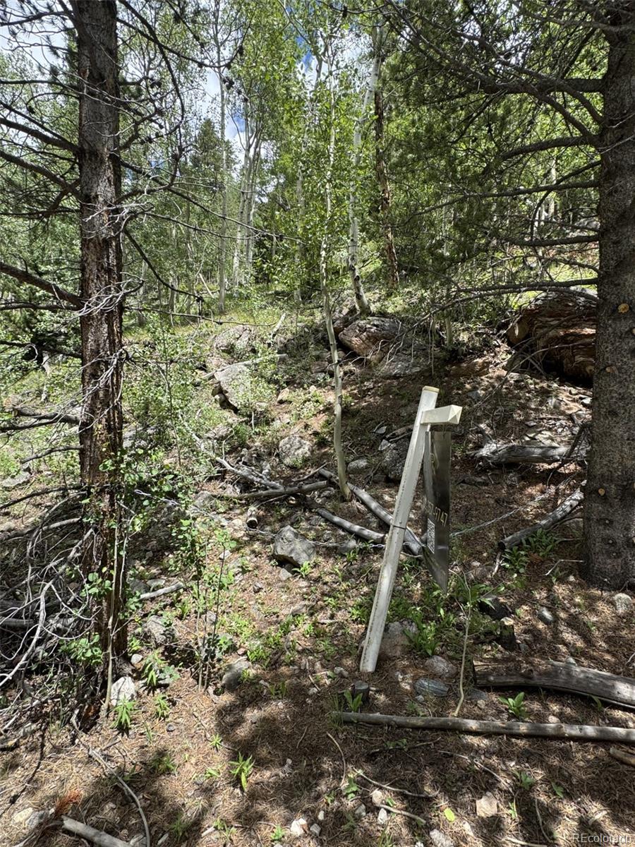 0 Loch Lomond Road Idaho Springs, CO 80452 - Photo 1 of 4 Gallery Image 1
