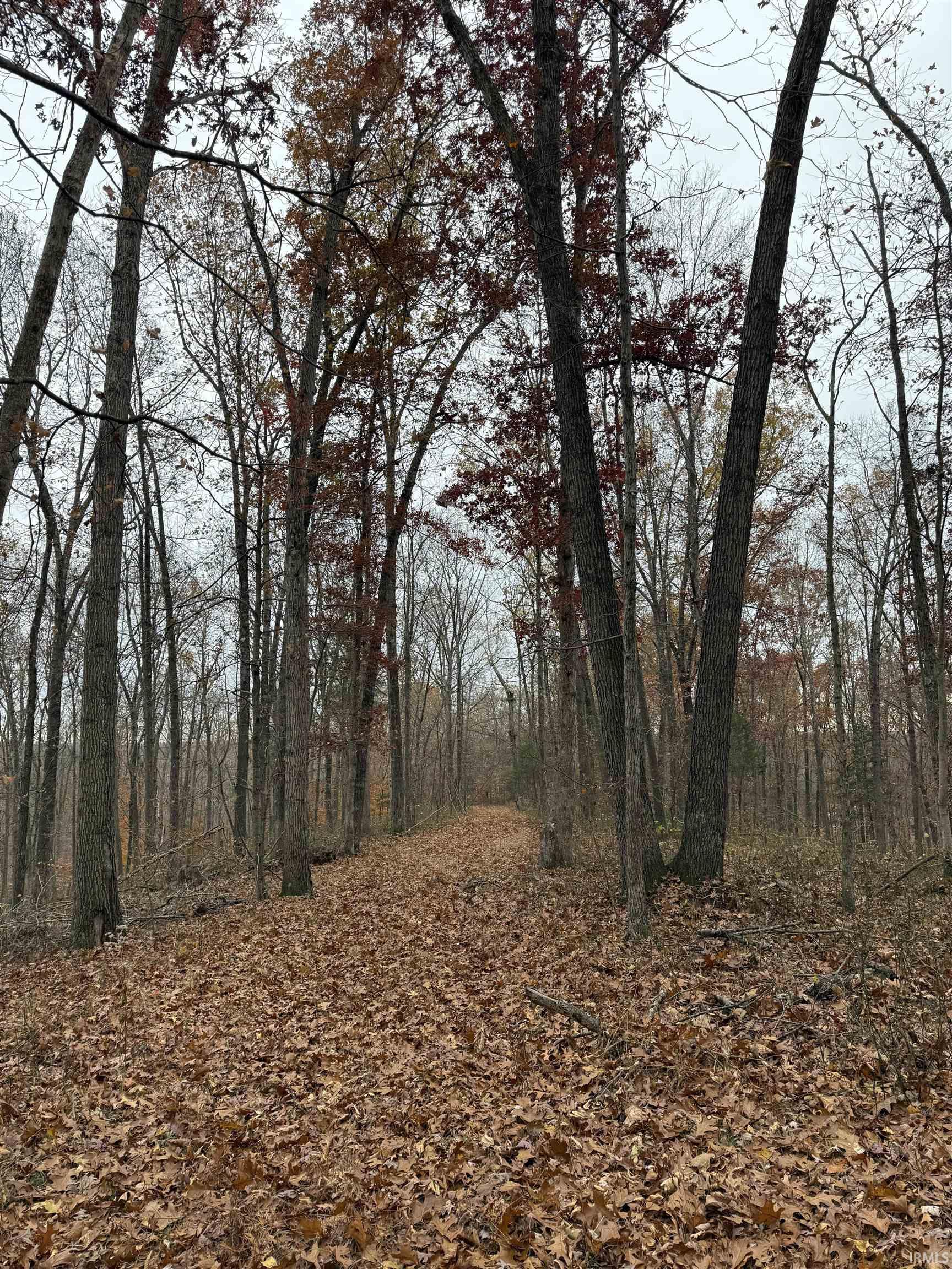 1400-block Meadows Church Road Heltonville, IN 47436 - Photo 11 of 14