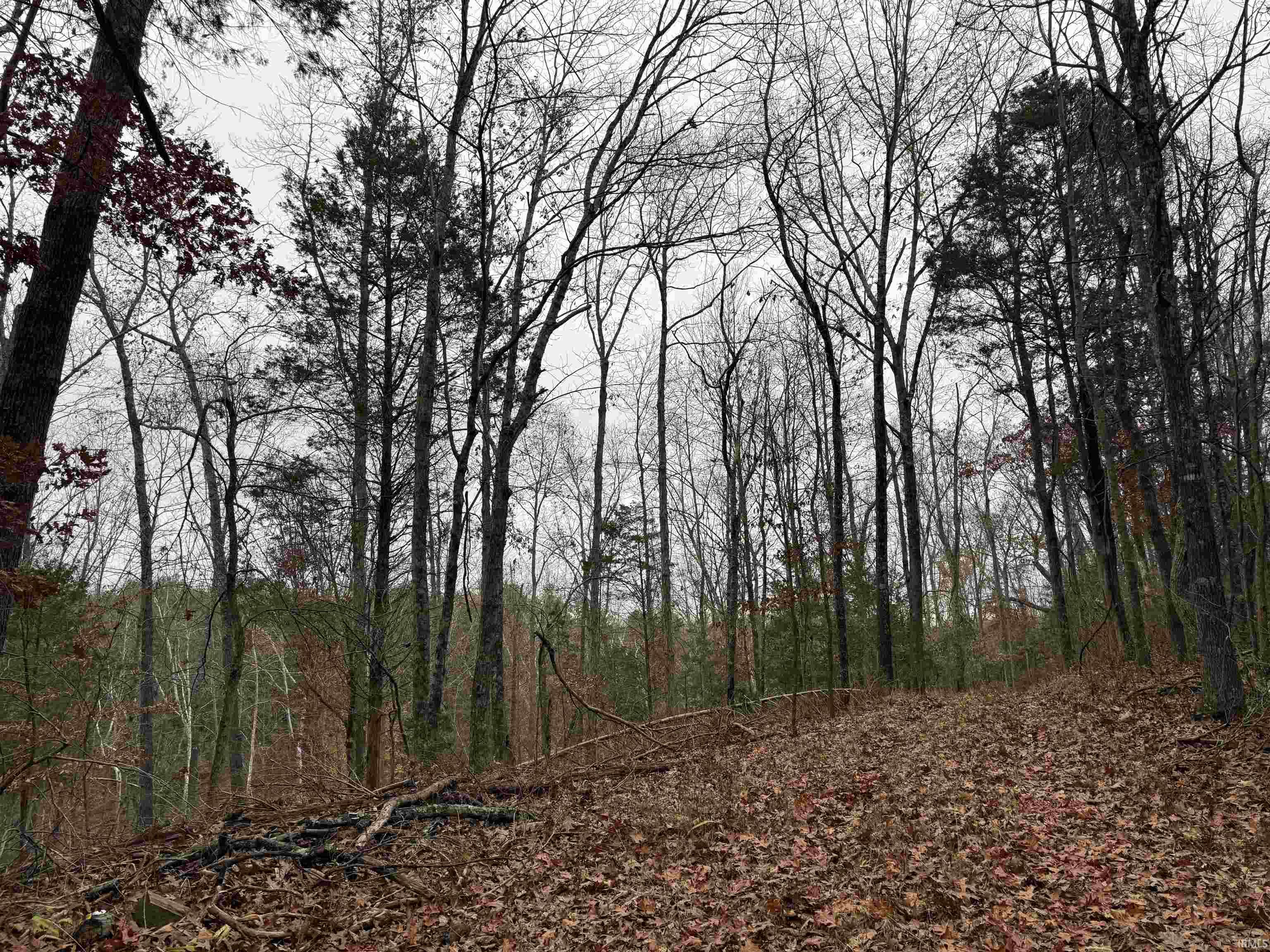 1400-block Meadows Church Road Heltonville, IN 47436 - Photo 12 of 14