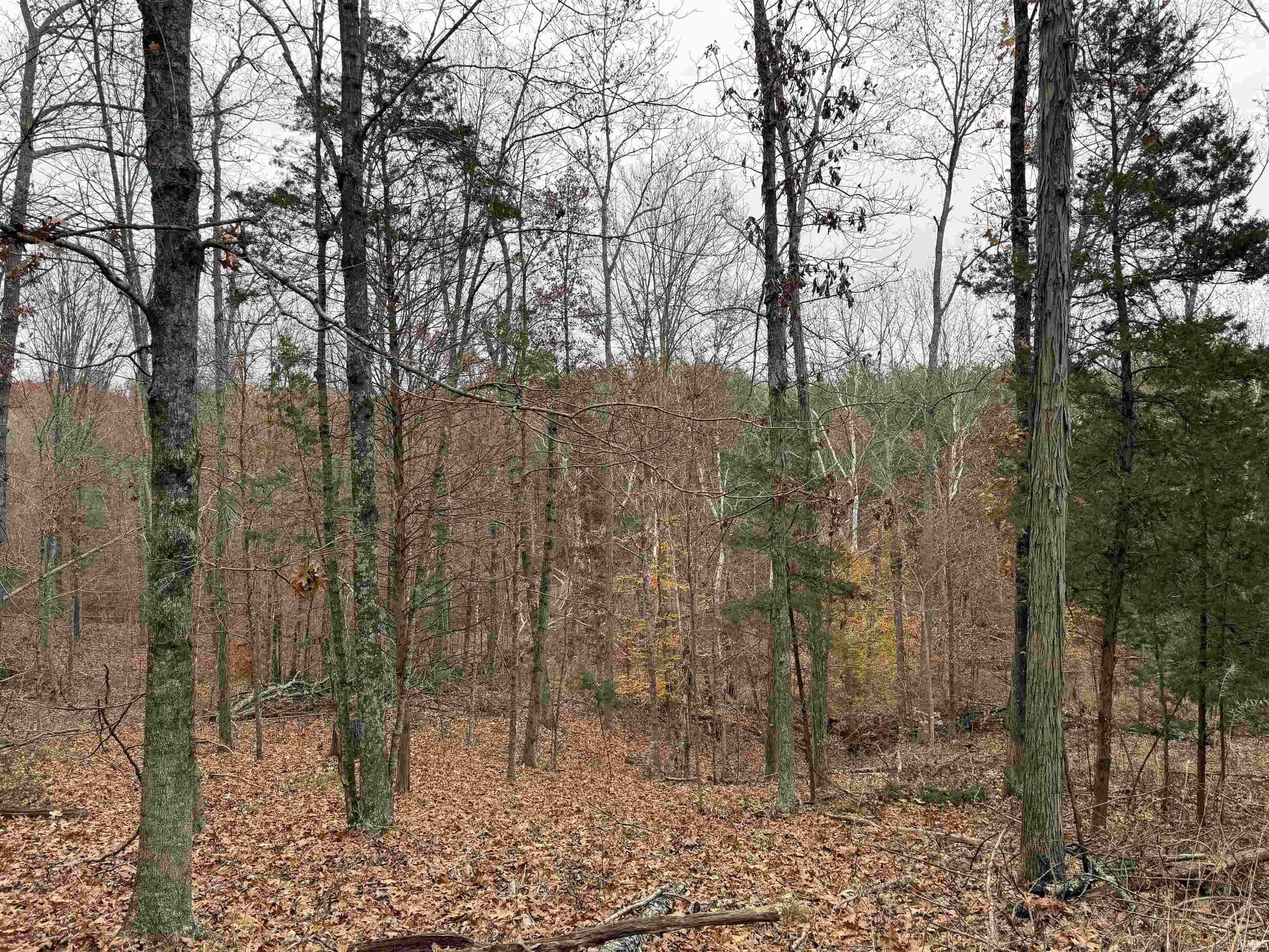 1400-block Meadows Church Road Heltonville, IN 47436 - Photo 13 of 14