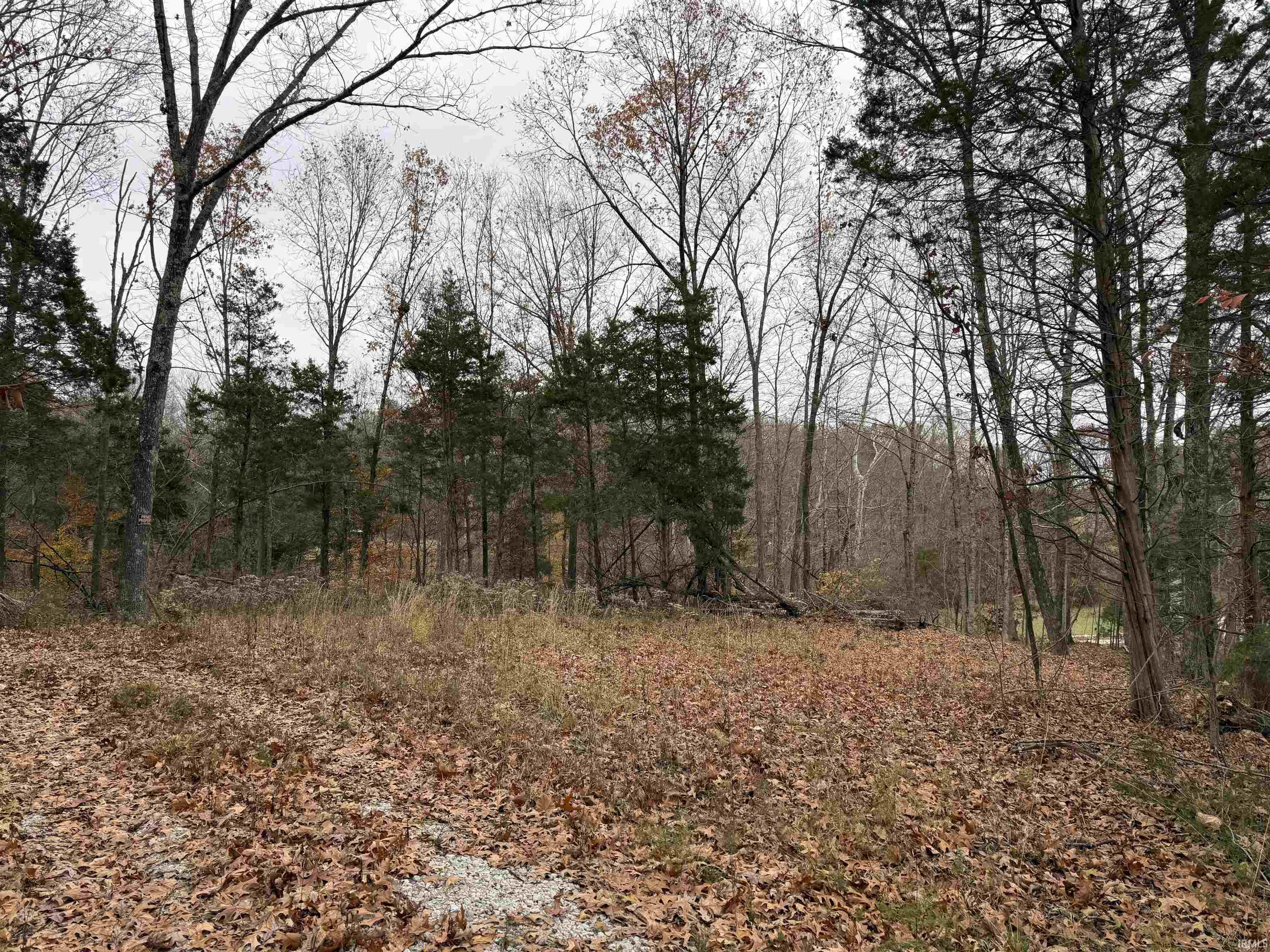 1400-block Meadows Church Road Heltonville, IN 47436 - Photo 14 of 14