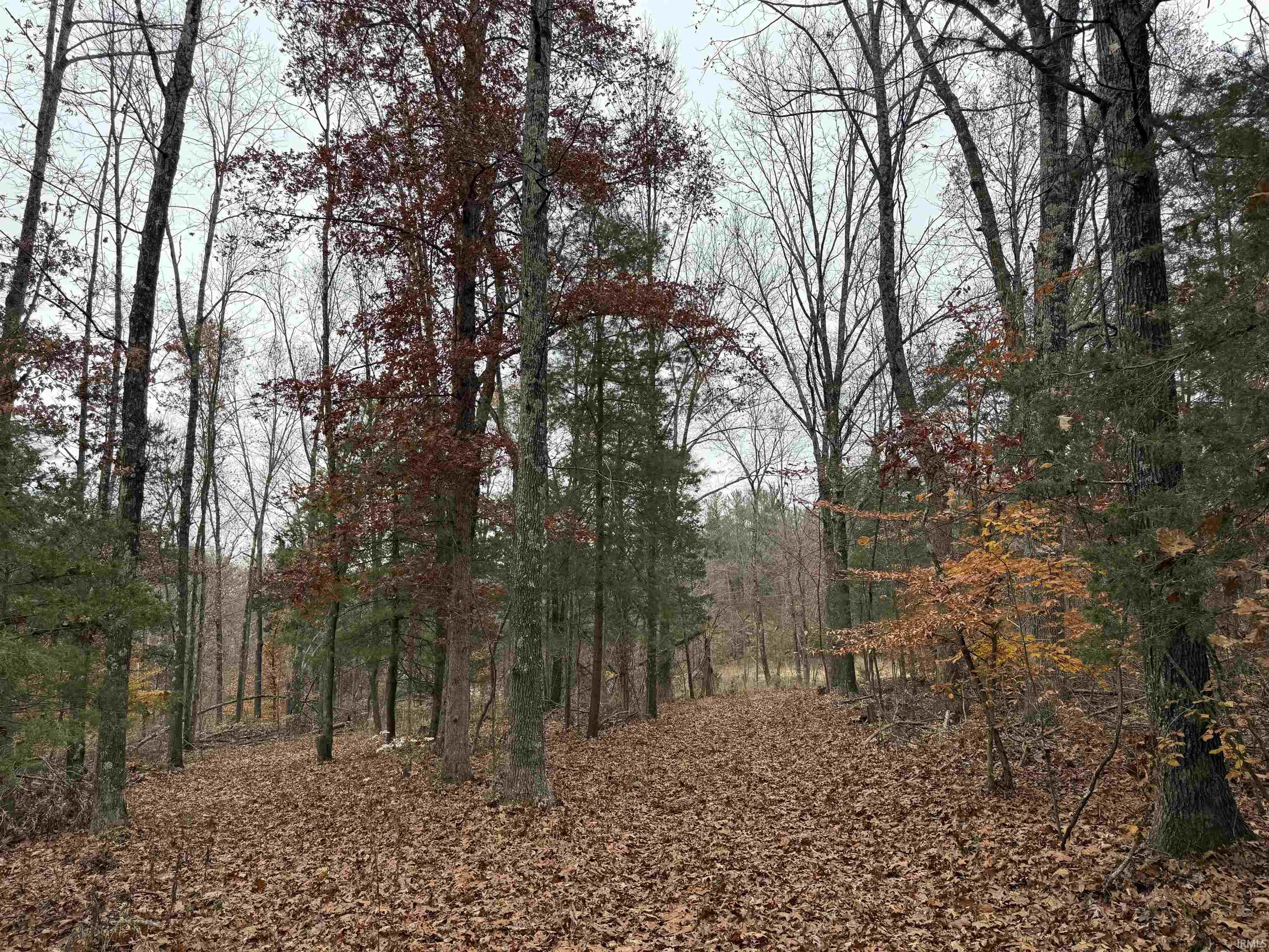 1400-block Meadows Church Road Heltonville, IN 47436 - Photo 3 of 14