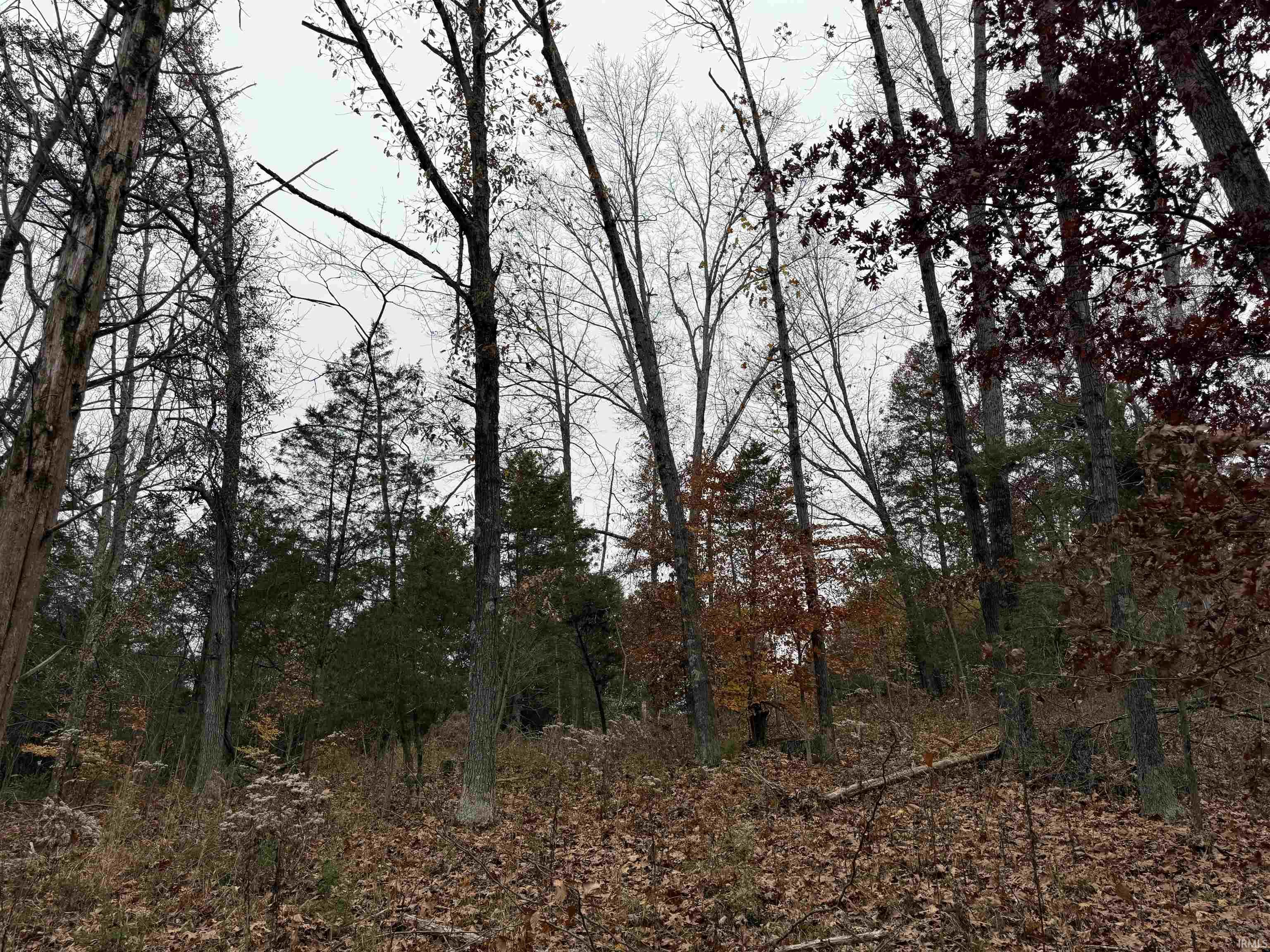 1400-block Meadows Church Road Heltonville, IN 47436 - Photo 4 of 14