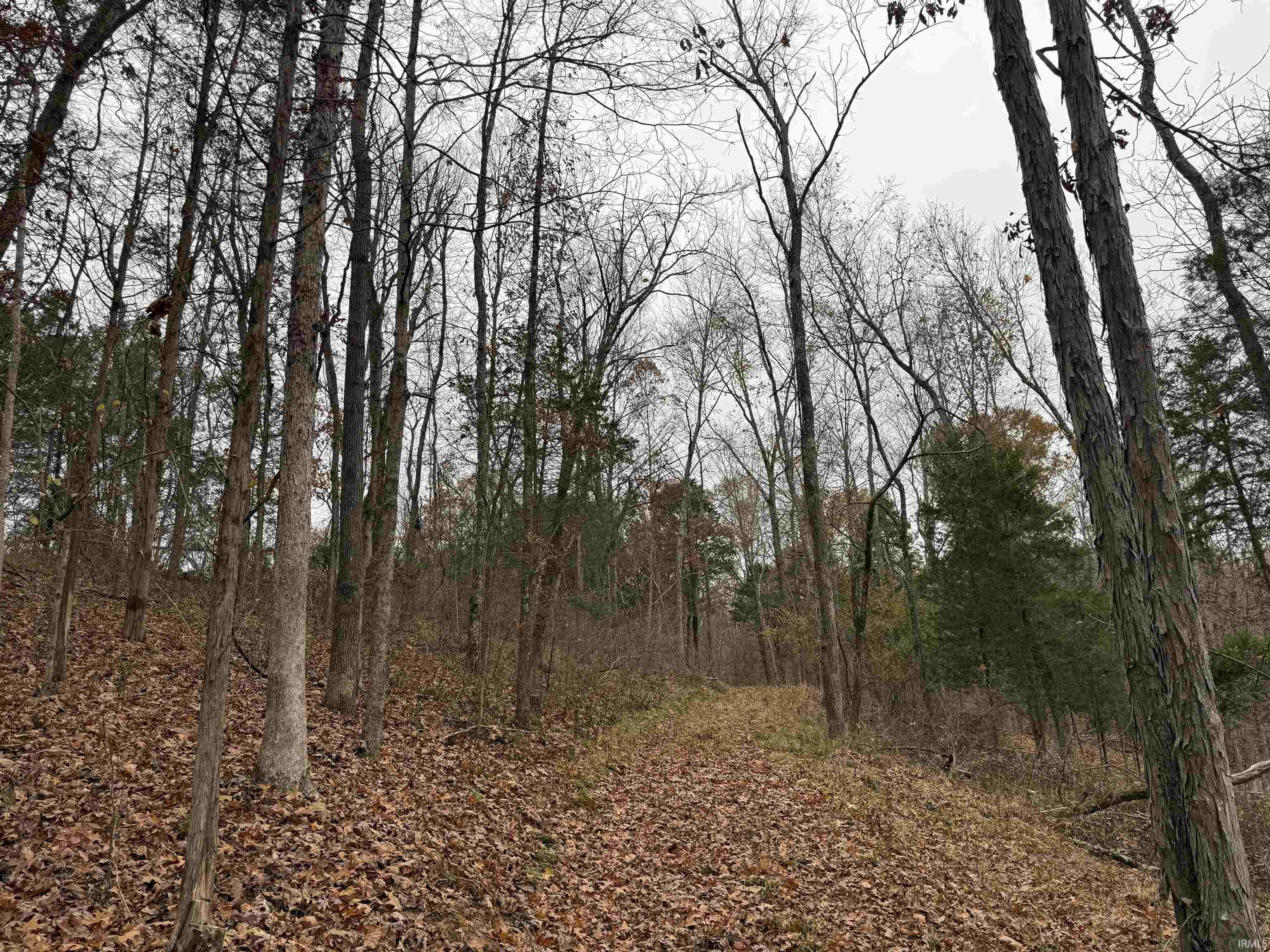 1400-block Meadows Church Road Heltonville, IN 47436 - Photo 5 of 14