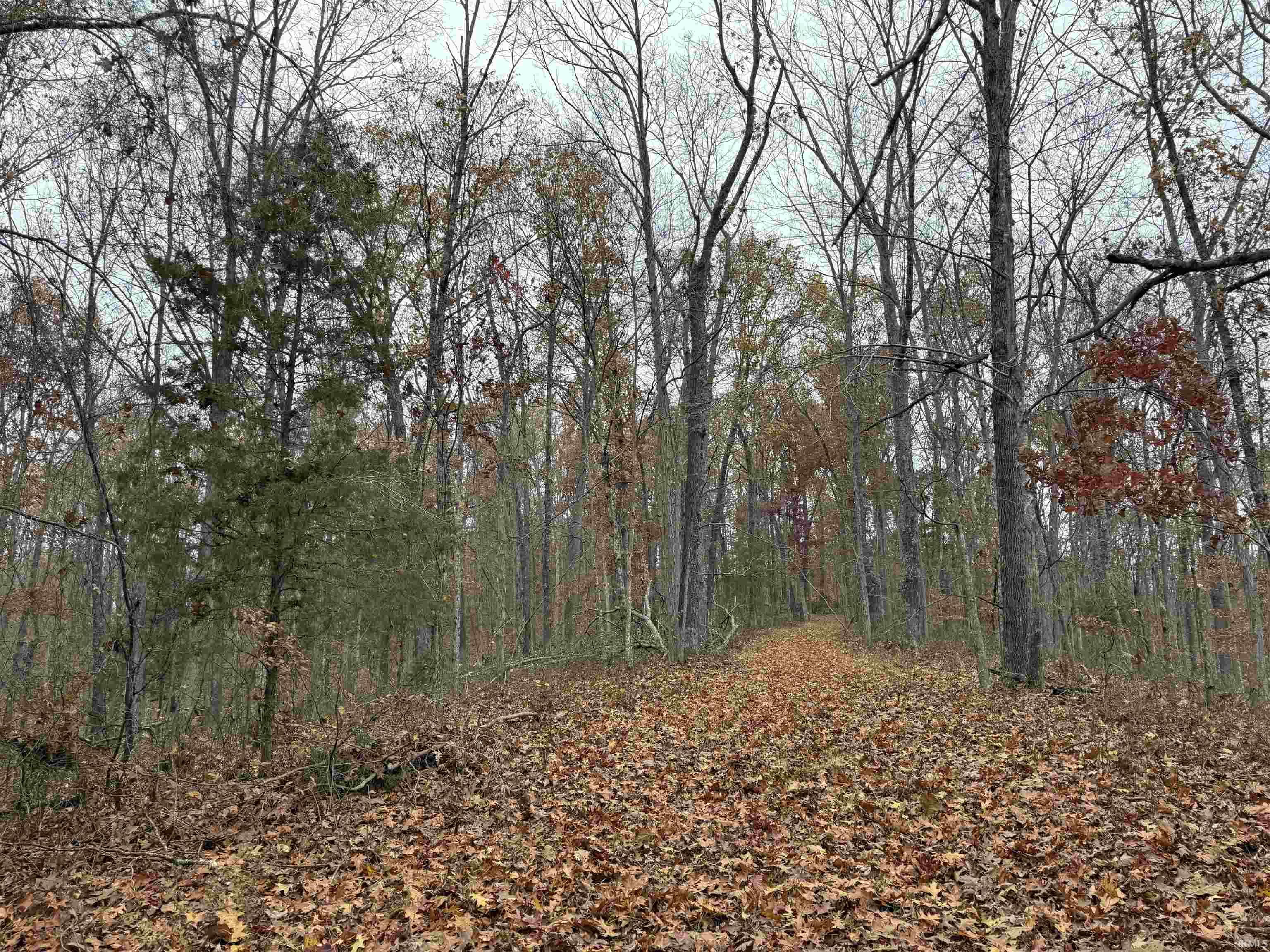 1400-block Meadows Church Road Heltonville, IN 47436 - Photo 6 of 14