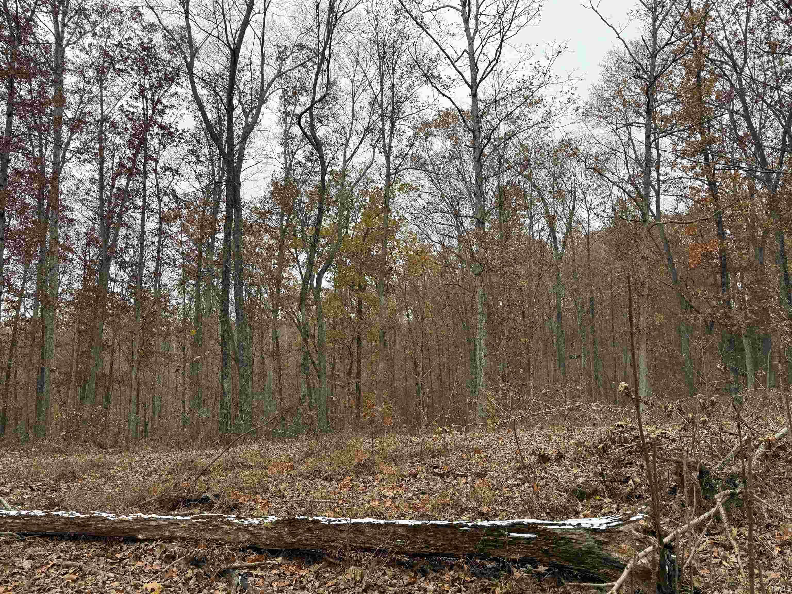 1400-block Meadows Church Road Heltonville, IN 47436 - Photo 8 of 14