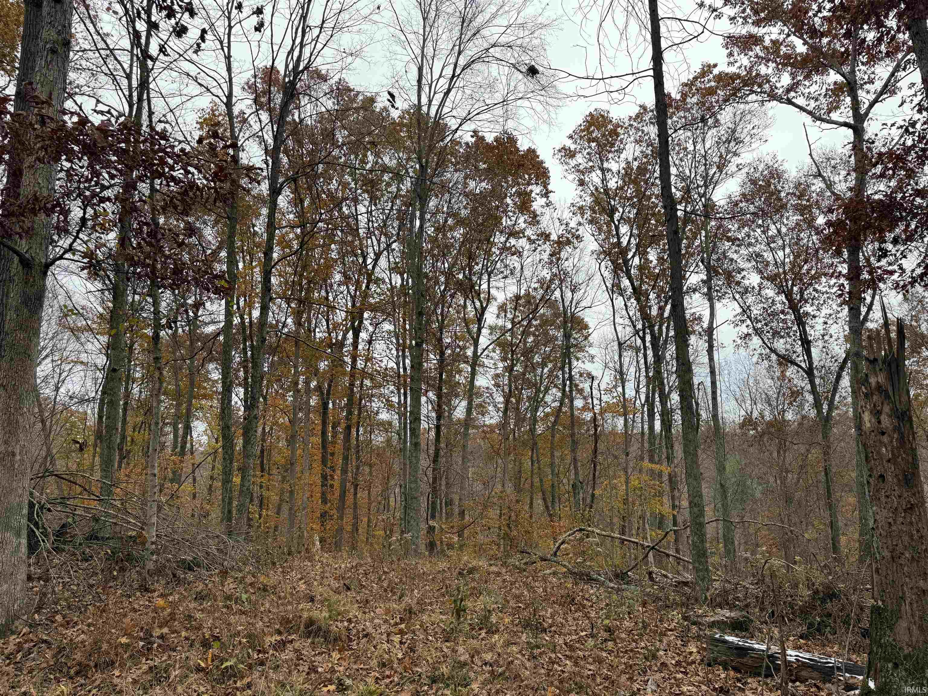 1400-block Meadows Church Road Heltonville, IN 47436 - Photo 9 of 14