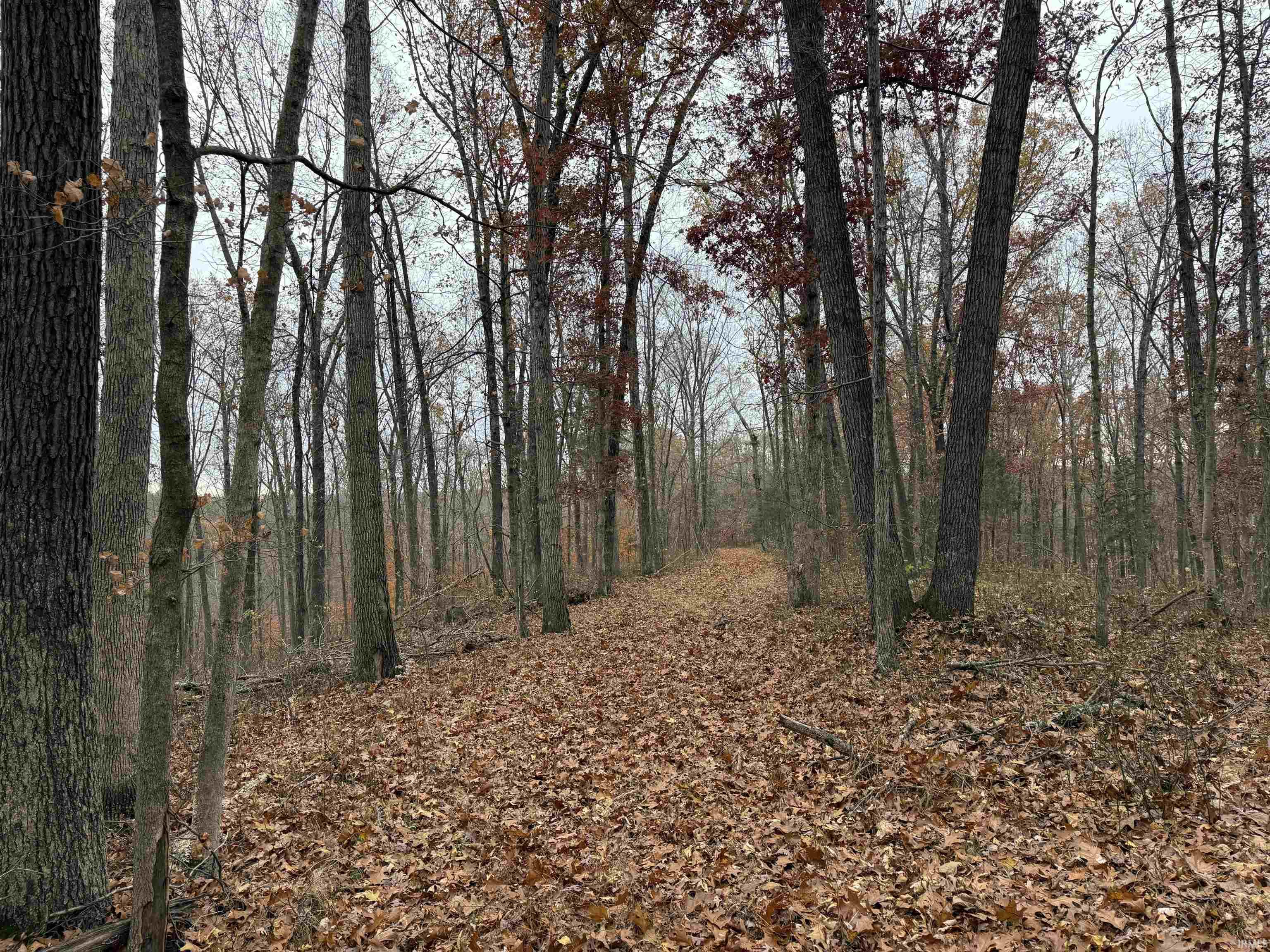 1400-block Meadows Church Road Heltonville, IN 47436 - Photo 10 of 14