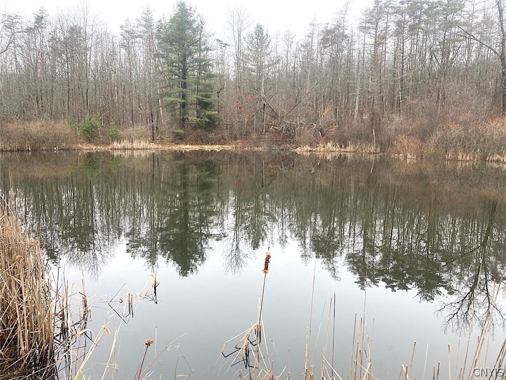 4607 Waugh Brook Road Scio, NY 14880 - Photo 7 of 50