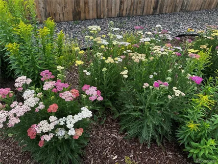 $465,000 | 6578 Westcliff Drive, Frederick, CO 80516