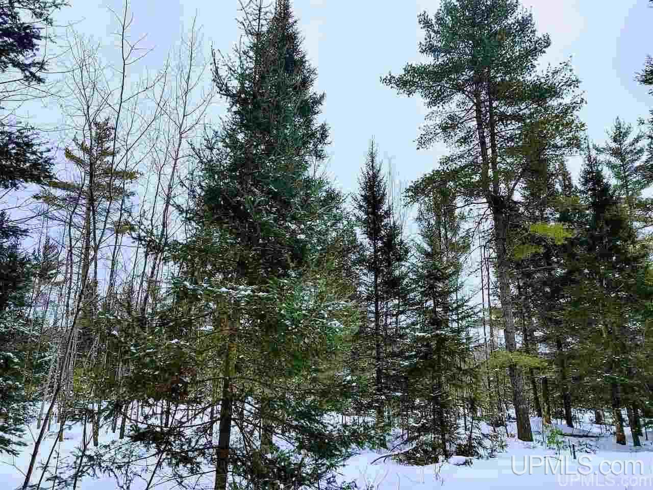 Tbd Forest Hwy 16 Road Iron River, MI 49935 - Photo 39 of 49