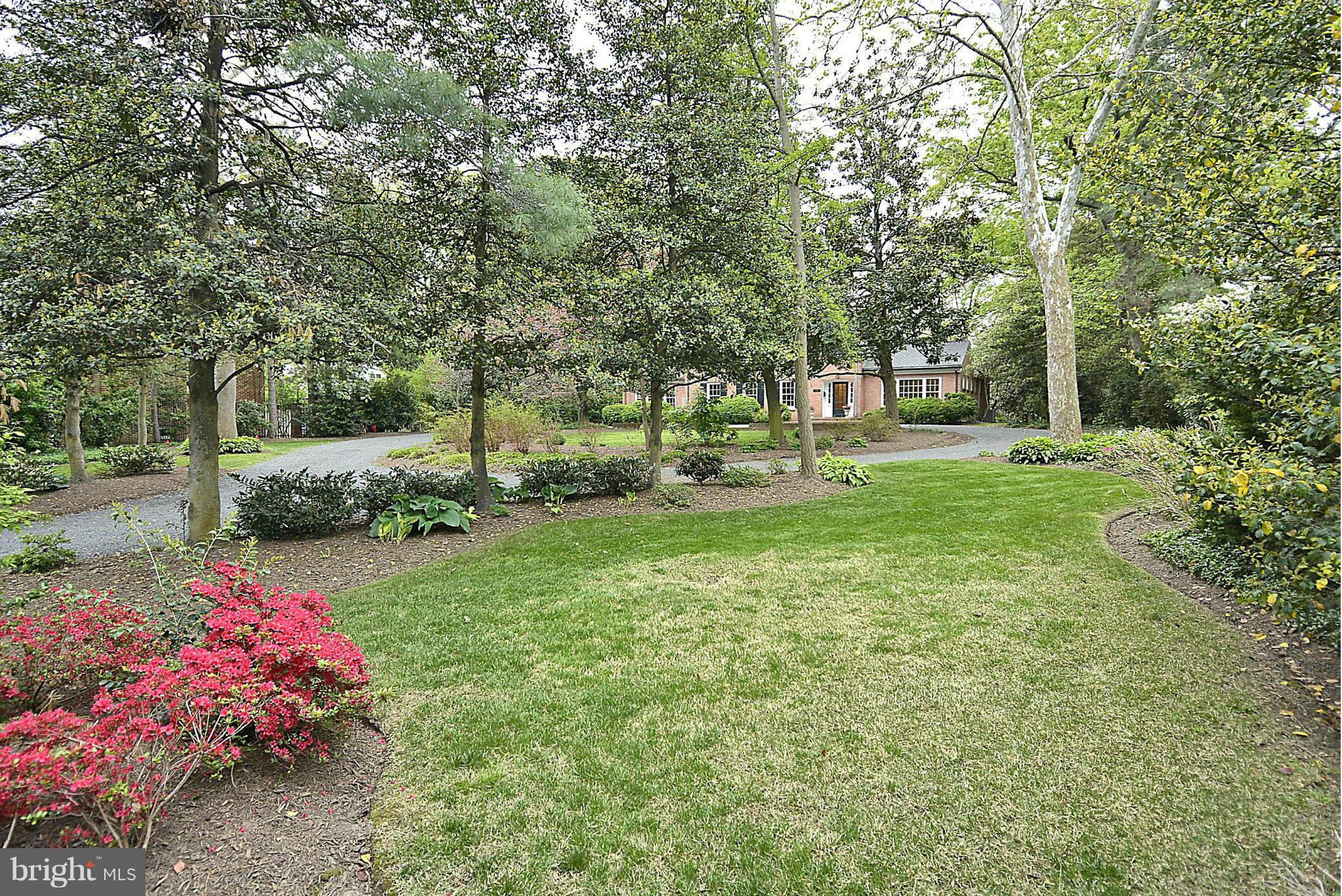 720 West Braddock Road Alexandria, VA 22302 - Photo 25 of 30 Yard