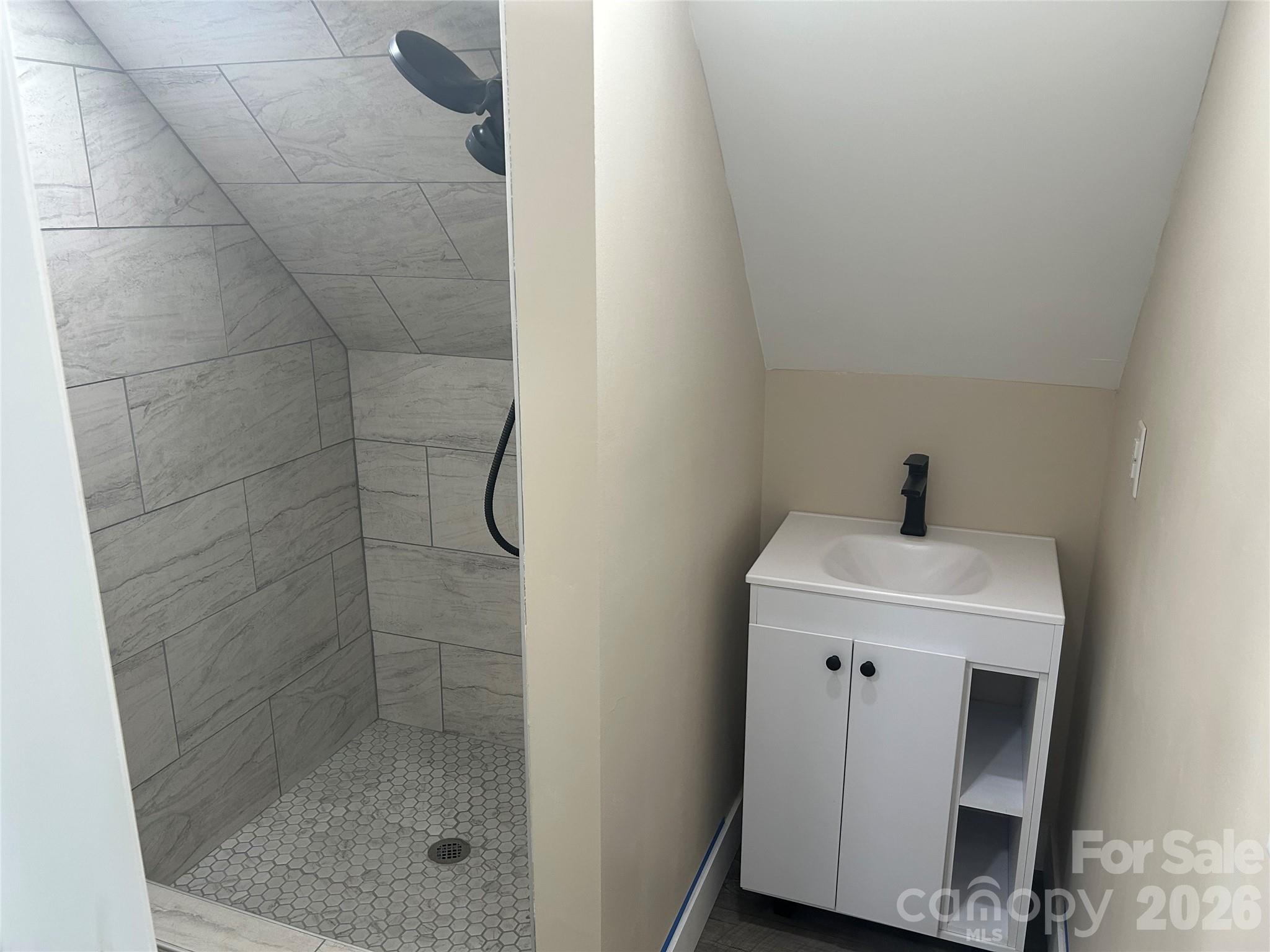 378 Collinsville Road Columbus, NC 28722 - Photo 40 of 48 a bathroom with a shower and sink