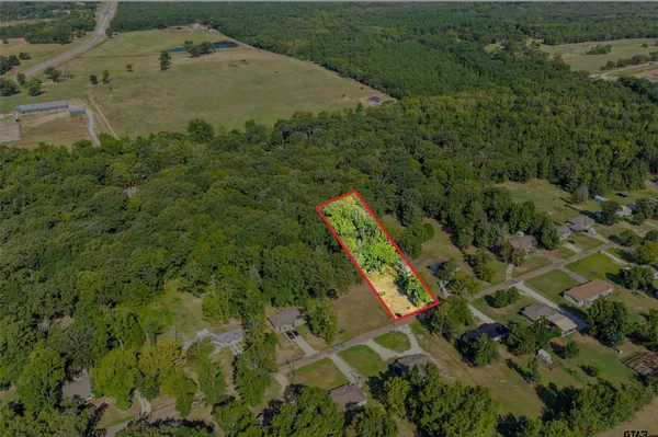 an aerial view of a residential houses with outdoor space