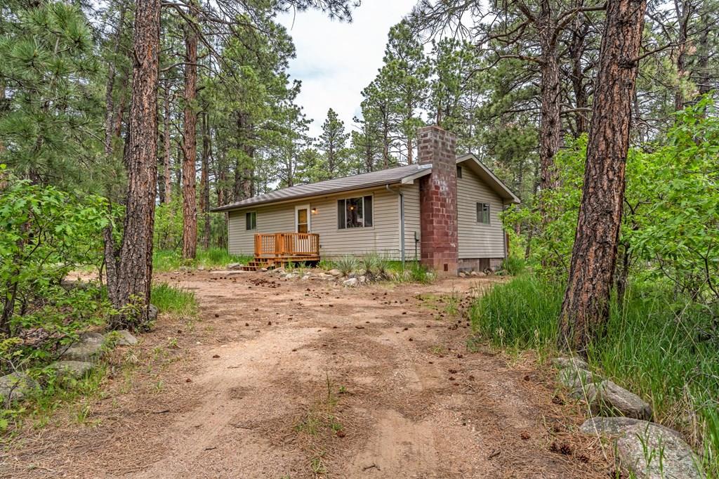8155 Birch Drive Rye, CO 81069 - Photo 17 of 35 Gallery Image 17