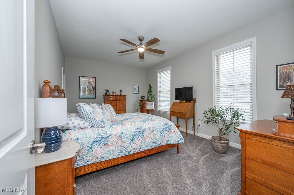 6580 Abbey Road North Canfield, OH 44406 - Photo 18 of 32 Bedroom featuring carpet and a ceiling fan