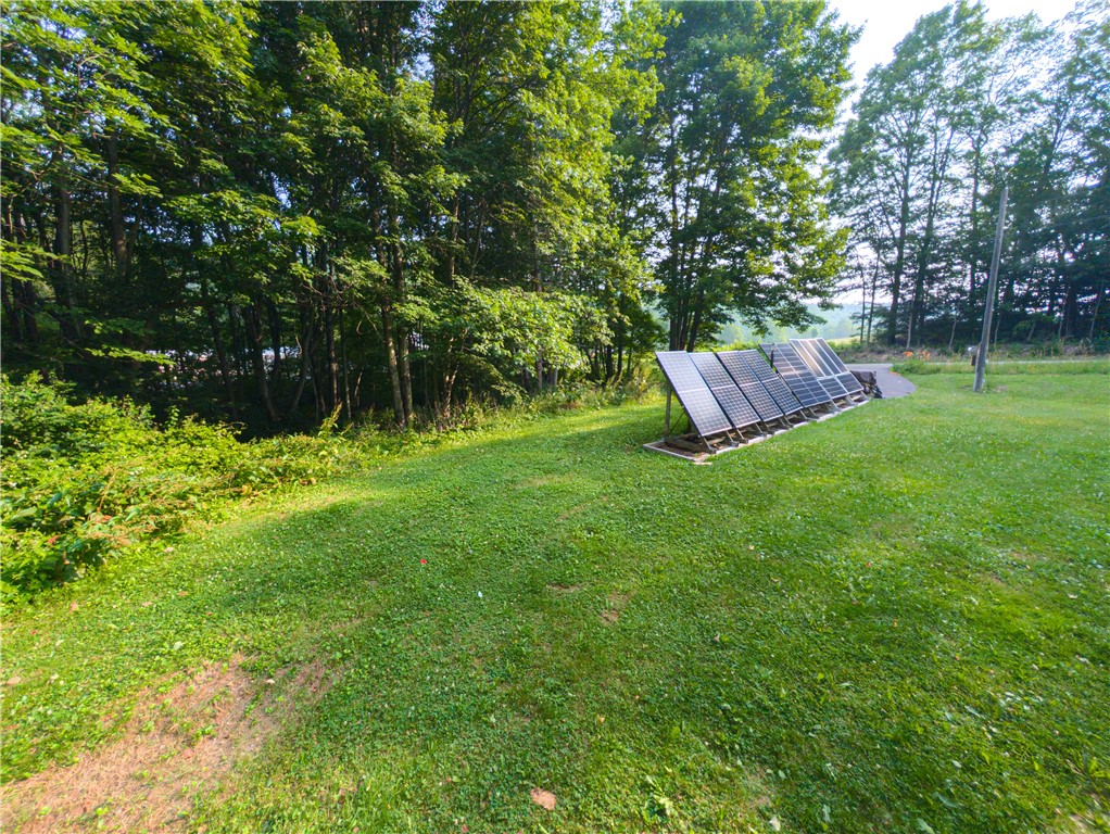 8699 Mattoon Road Cohocton, NY 14826 - Photo 13 of 43