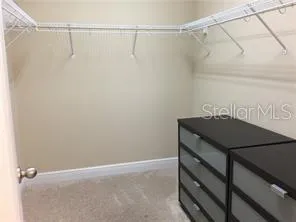 a bathroom with a sink and a shower