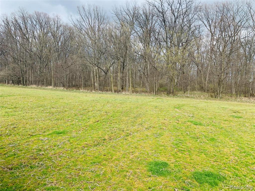 0 Smith Road Gaines, MI 48436 - Photo 6 of 6
