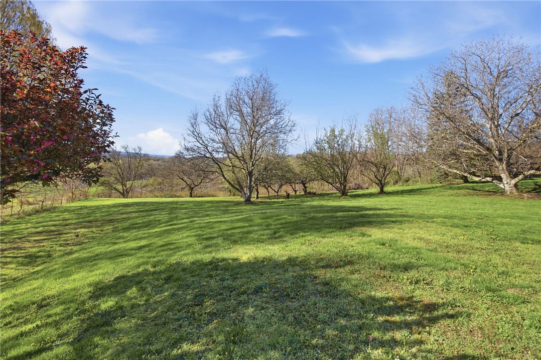 2977 Williams Hill Road Jerusalem, NY 14527 - Photo 45 of 46