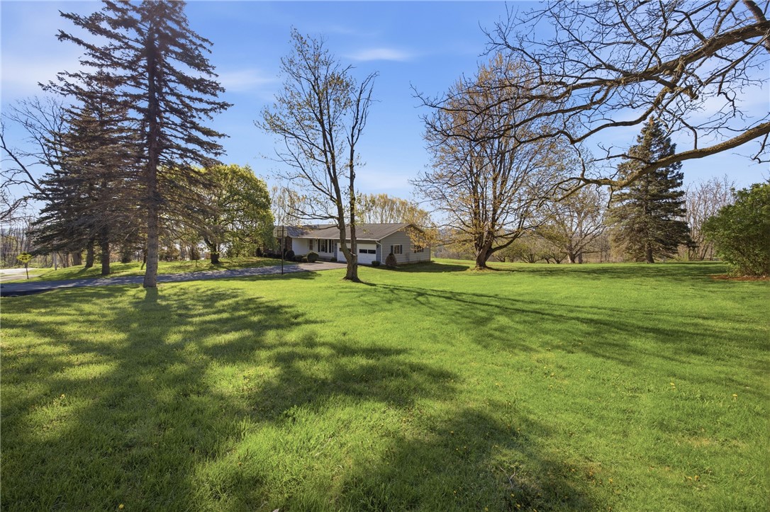 2977 Williams Hill Road Jerusalem, NY 14527 - Photo 9 of 46