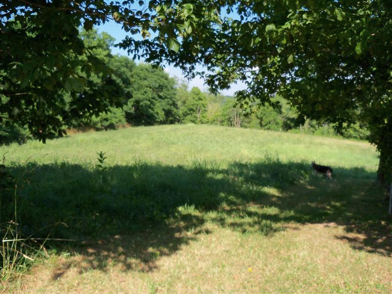 5101 Pine Ridge Road Winchester, KY 40391 - Photo 24 of 33 Great pasture area