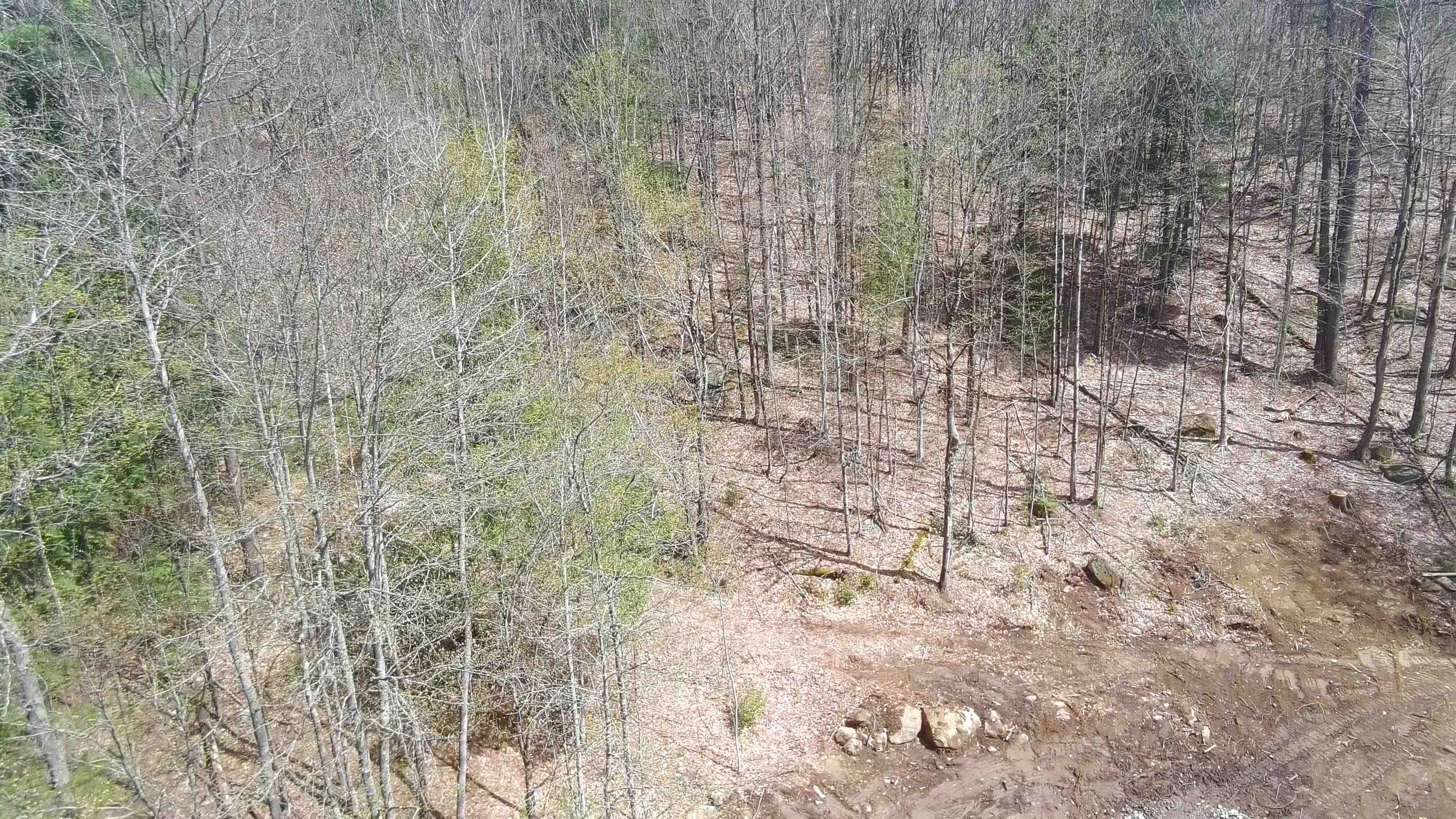 0 Dero Road Lempster, NH 03605 - Photo 5 of 6